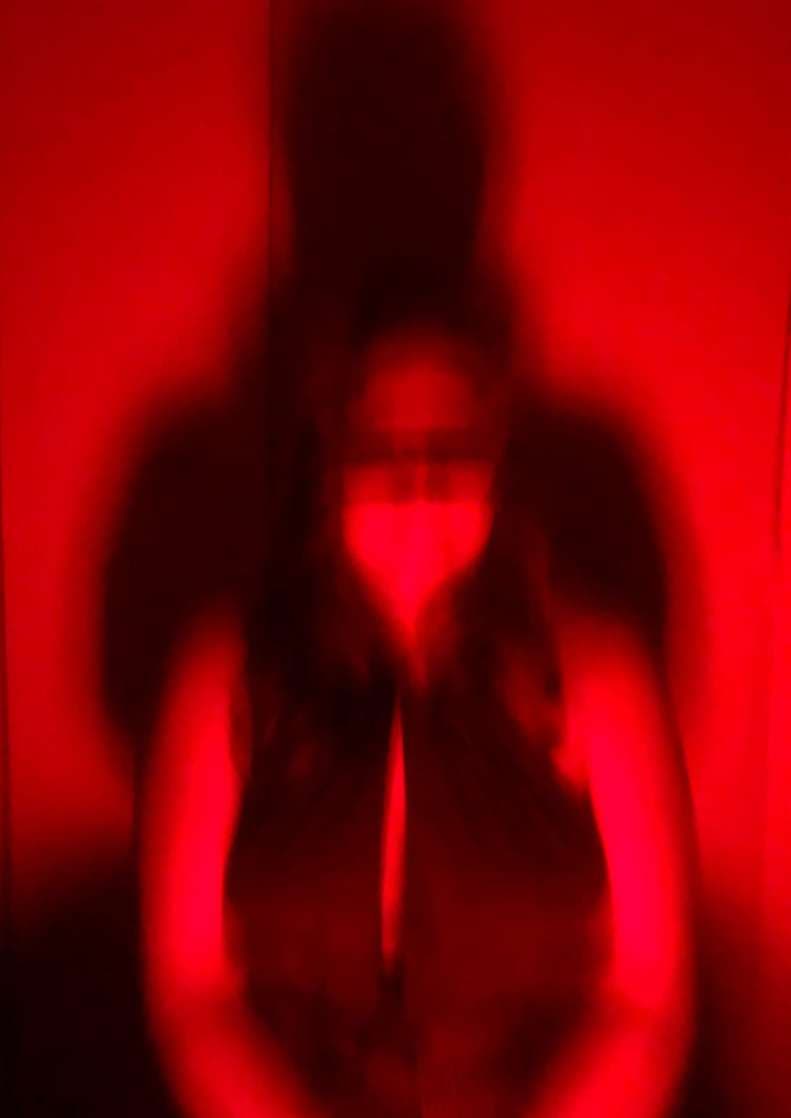 Kidnapping — aperçu 1