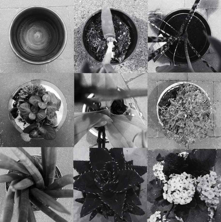 La chronologie d'un pot disparu — aperçu 1